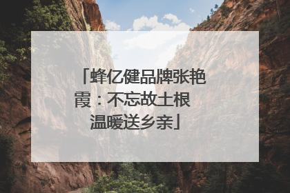 蜂亿健品牌张艳霞：不忘故土根 温暖送乡亲