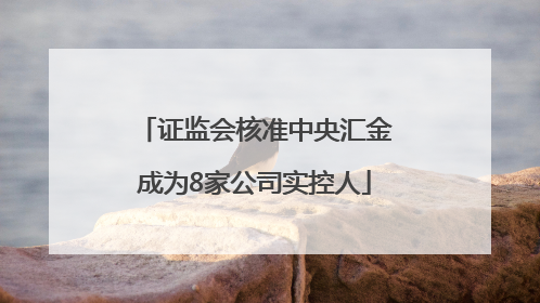 证监会核准中央汇金成为8家公司实控人