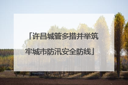 许昌城管多措并举筑牢城市防汛安全防线