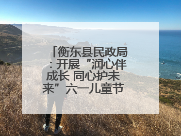 衡东县民政局：开展“润心伴成长 同心护未来”六一儿童节系列关爱活动