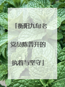 衡阳九旬老党员陈普开的执着与坚守