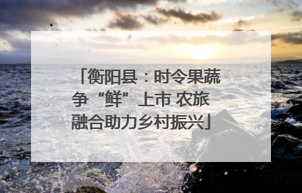 衡阳县：时令果蔬争“鲜”上市 农旅融合助力乡村振兴