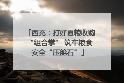 西充：打好夏粮收购“组合拳” 筑牢粮食安全“压舱石”