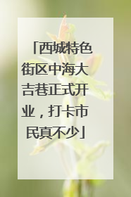 西城特色街区中海大吉巷正式开业，打卡市民真不少