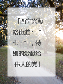 西宁兴海路街道：“七一”，特别的爱献给伟大的党