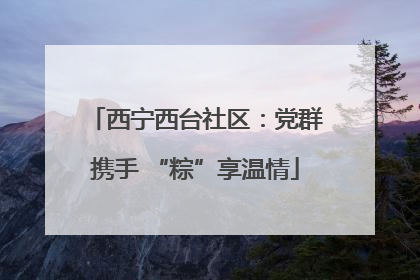 西宁西台社区：党群携手 “粽”享温情