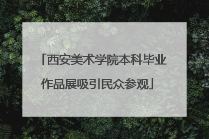 西安美术学院本科毕业作品展吸引民众参观