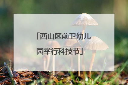 西山区前卫幼儿园举行科技节