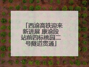 西渝高铁迎来新进展 康渝段站前四标桃园二号隧道贯通