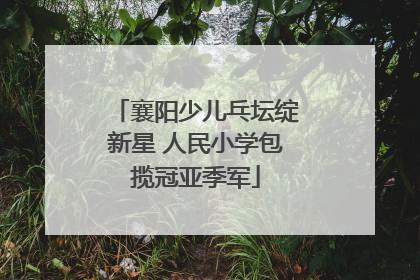 襄阳少儿乓坛绽新星 人民小学包揽冠亚季军
