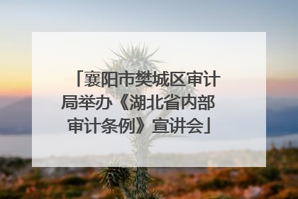 襄阳市樊城区审计局举办《湖北省内部审计条例》宣讲会