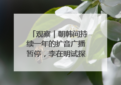 观察｜朝韩间持续一年的扩音广播暂停，李在明试探性将球踢向朝鲜