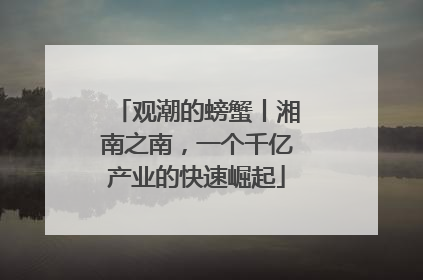 观潮的螃蟹丨湘南之南，一个千亿产业的快速崛起