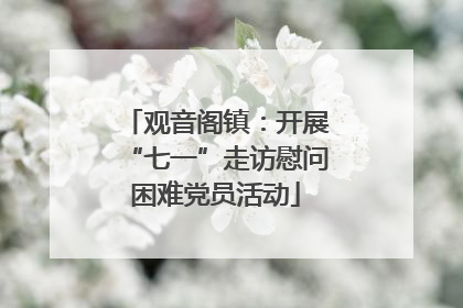 观音阁镇：开展“七一”走访慰问困难党员活动