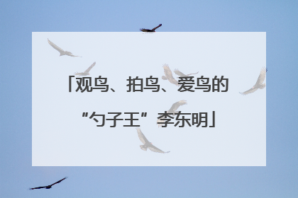 观鸟、拍鸟、爱鸟的“勺子王”李东明