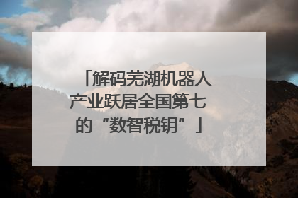 解码芜湖机器人产业跃居全国第七的“数智税钥”