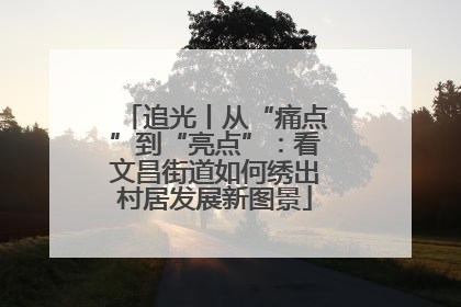 追光丨从“痛点”到“亮点”：看文昌街道如何绣出村居发展新图景