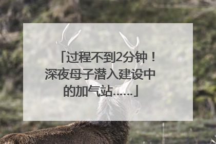 过程不到2分钟！深夜母子潜入建设中的加气站……