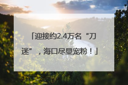 迎接约2.4万名“刀迷”，海口尽显宠粉！