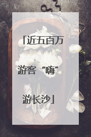 近五百万游客“嗨”游长沙