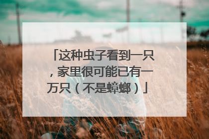 这种虫子看到一只，家里很可能已有一万只（不是蟑螂）
