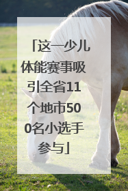 这一少儿体能赛事吸引全省11个地市500名小选手参与