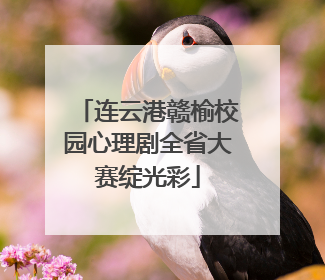 连云港赣榆校园心理剧全省大赛绽光彩