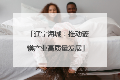 辽宁海城：推动菱镁产业高质量发展