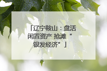 辽宁鞍山：盘活闲置资产 抢滩“银发经济”