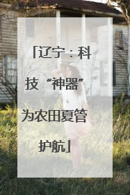 辽宁：科技“神器”为农田夏管护航
