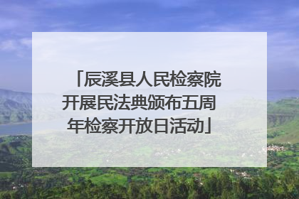 辰溪县人民检察院开展民法典颁布五周年检察开放日活动