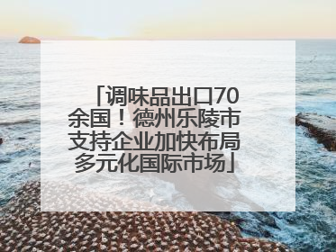 调味品出口70余国！德州乐陵市支持企业加快布局多元化国际市场