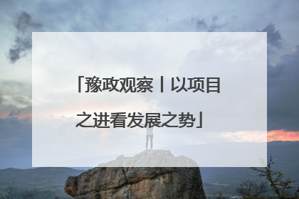 豫政观察丨以项目之进看发展之势
