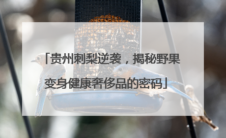 贵州刺梨逆袭，揭秘野果变身健康奢侈品的密码