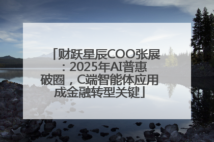 财跃星辰COO张展：2025年AI普惠破圈，C端智能体应用成金融转型关键