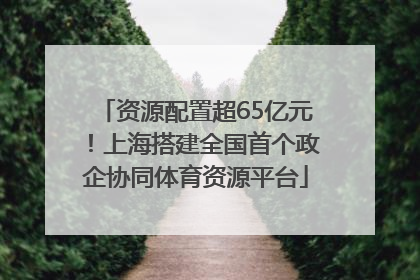 资源配置超65亿元！上海搭建全国首个政企协同体育资源平台