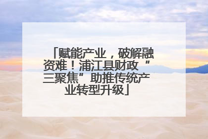 赋能产业，破解融资难！浦江县财政“三聚焦”助推传统产业转型升级