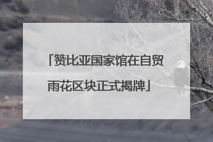 赞比亚国家馆在自贸雨花区块正式揭牌