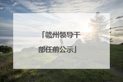 赣州领导干部任前公示