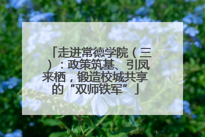 走进常德学院（三）：政策筑基、引凤来栖，锻造校城共享的“双师铁军”