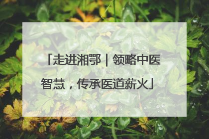 走进湘鄂｜领略中医智慧，传承医道薪火