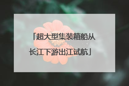 超大型集装箱船从长江下游出江试航
