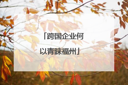 跨国企业何以青睐福州