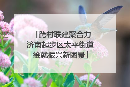 跨村联建聚合力 济南起步区太平街道绘就振兴新图景