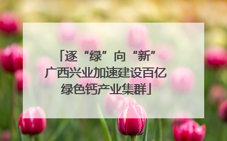逐“绿”向“新” 广西兴业加速建设百亿绿色钙产业集群