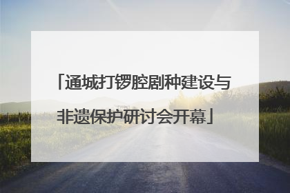 通城打锣腔剧种建设与非遗保护研讨会开幕