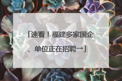 速看！福建多家国企、单位正在招聘→