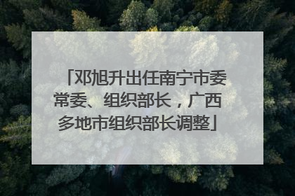 邓旭升出任南宁市委常委、组织部长，广西多地市组织部长调整