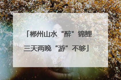 郴州山水“醉”锦鲤 三天两晚“游”不够