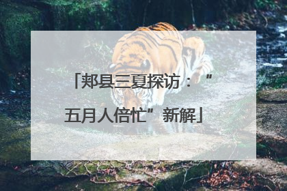 郏县三夏探访：“五月人倍忙”新解